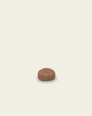 The Bean / Daily